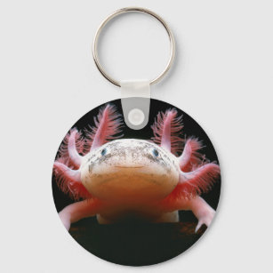 Axolotl Axolotl.png Schlüsselanhänger