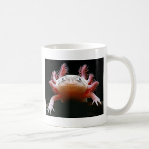 Axolotl Axolotl.png Tasse