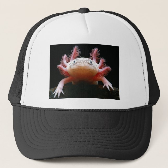 Axolotl Axolotl.png Truckerkappe (Vorderseite)