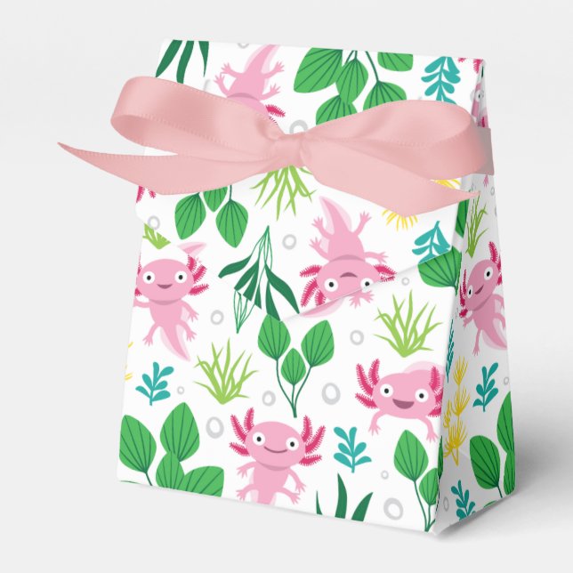 Axolotl Geschenkschachtel (Vorderseite)