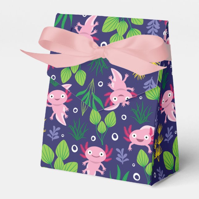 Axolotl Geschenkschachtel (Vorderseite)