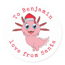 Axolotl Kinder Name Liebe von Weihnachten