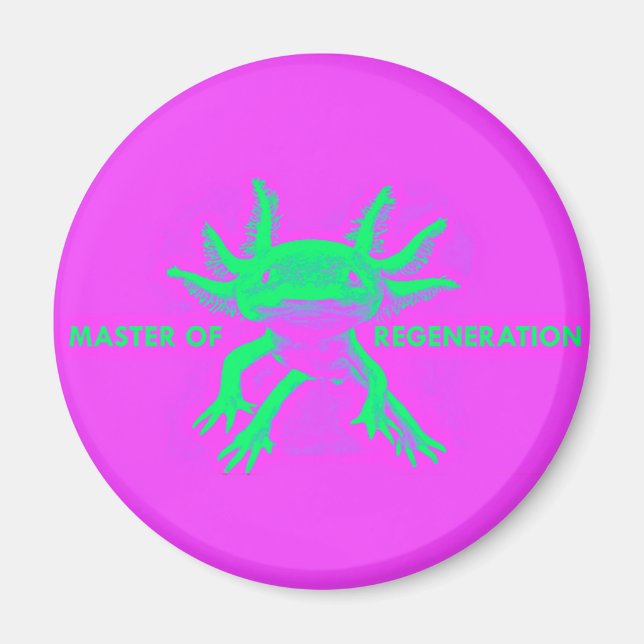 AXOLOTL MAGNET (Vorne)