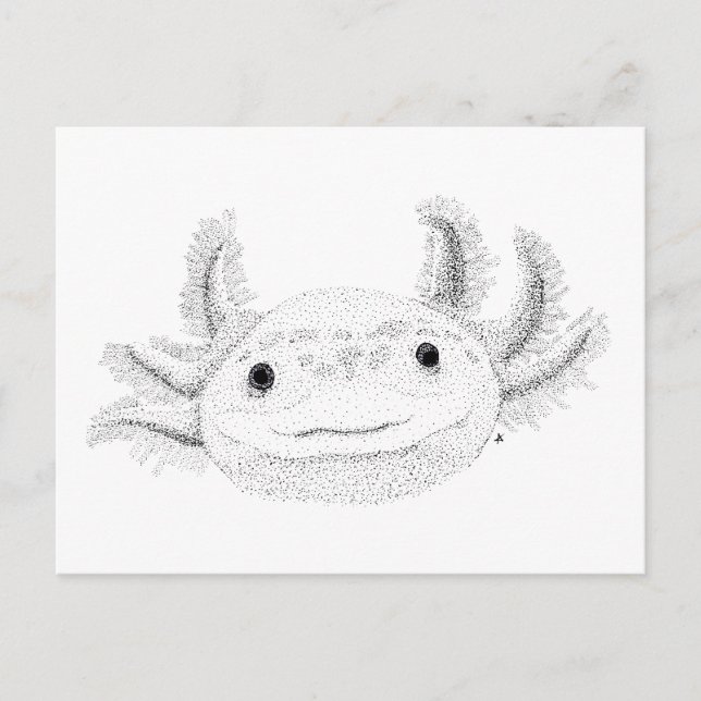 Axolotl Postkarte (Vorderseite)