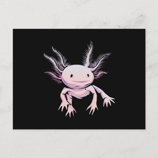 Axolotl Postkarte (Vorderseite)