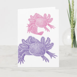 Axolotl-Rohling Grußkarte - ROSA & LILA Karte