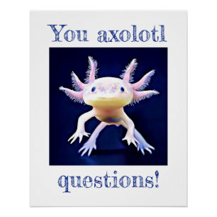 Axolotl Salamander Amphibienposter Poster