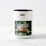 Axolotl-Tasse Zweifarbige Tasse<br><div class="desc">Es ist eine axolotale Tasse. Tut mir leid,  ich got irgendwie faul damit. Soooo,  ja!</div>