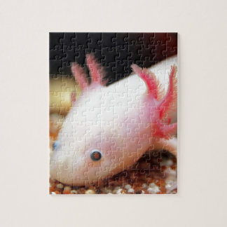 Axolotl Weißling Puzzle