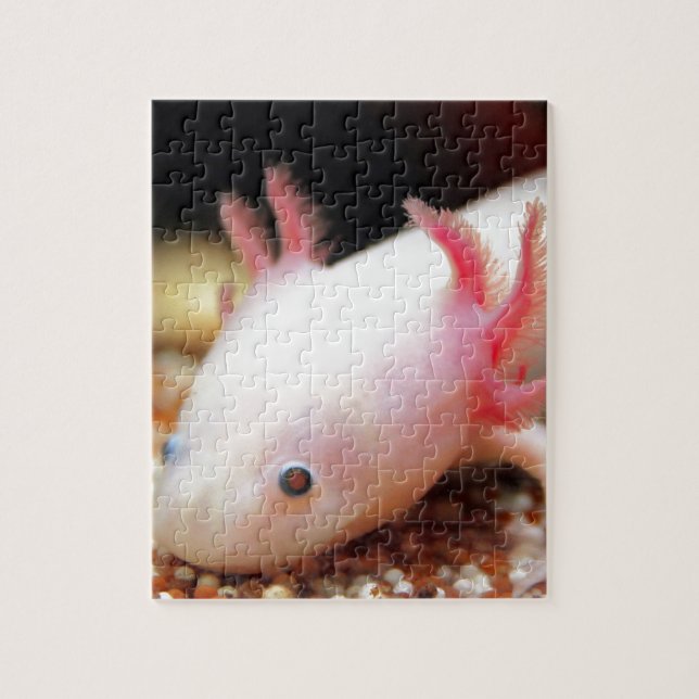 Axolotl Weißling Puzzle (Vertikal)