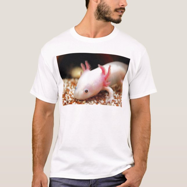 Axolotl Weißling T-Shirt (Vorderseite)