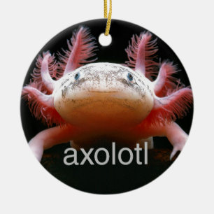 AxolotlAxolotlAxolotlAxolotl Keramik Ornament