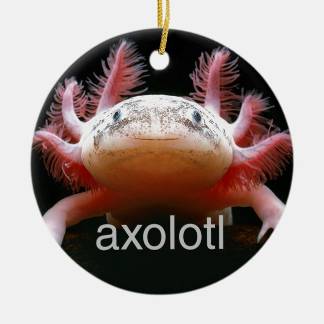 AxolotlAxolotlAxolotlAxolotl Keramik Ornament (Vorne)