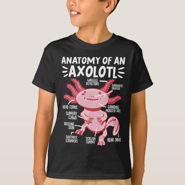 Axolotls Anatomy Of An Axolotl Kawaii T-Shirt (Vorderseite)