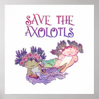 Axolotls, Axolotl, Salamander Poster gerettet