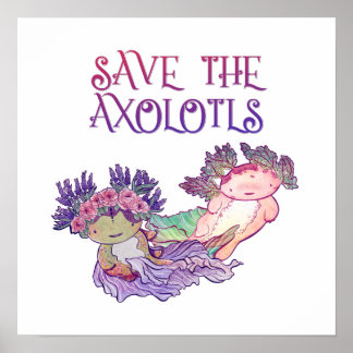 Axolotls, Axolotl, Salamander Poster gerettet