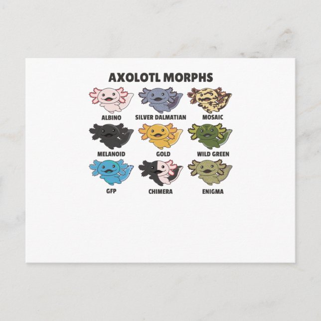 Axolotls von den süßen Tieren der Welt Axolotl Postkarte (Vorderseite)