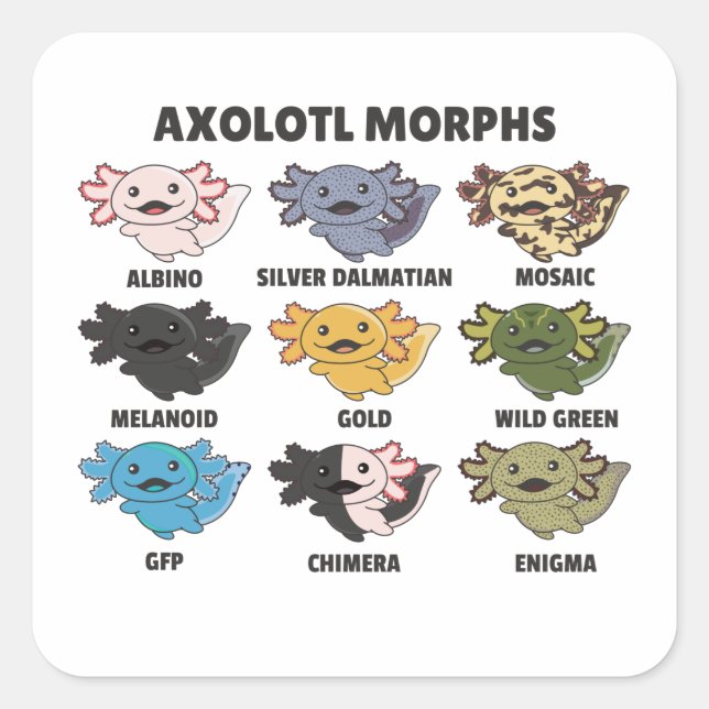 Axolotls von der Welt süße Tiere Axolotl Squa Quadratischer Aufkleber (Vorderseite)