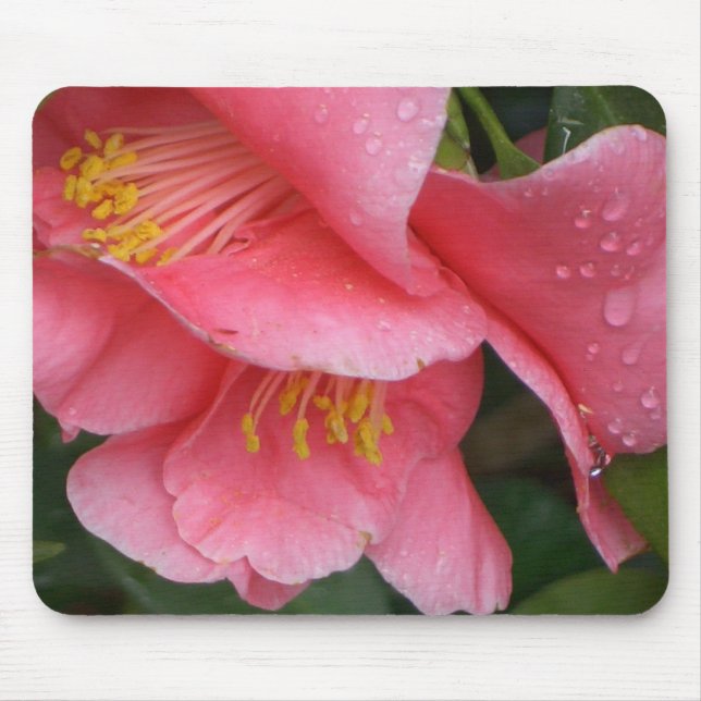 AXT rosa Camelia Blume mousepad (Vorne)