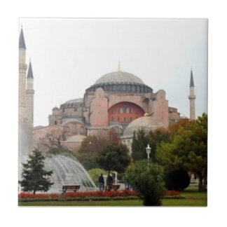 Aya Sophia Fliese