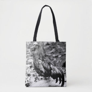 Ayam Cemani mono