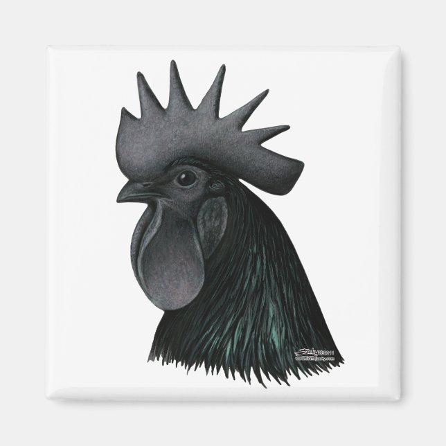 Ayam Cemani Rooster Head Magnet (Vorne)
