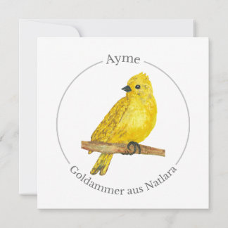 Ayme - Goldammer aus Natlara