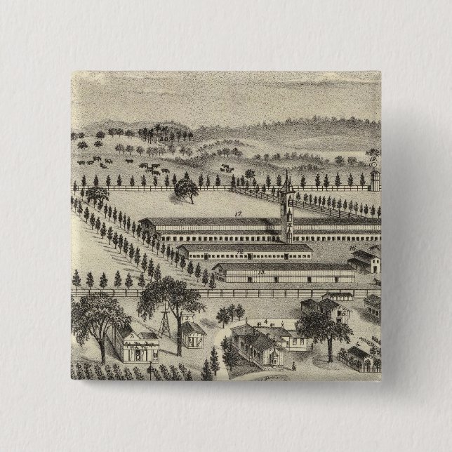 Ayrshire Button (Vorderseite)