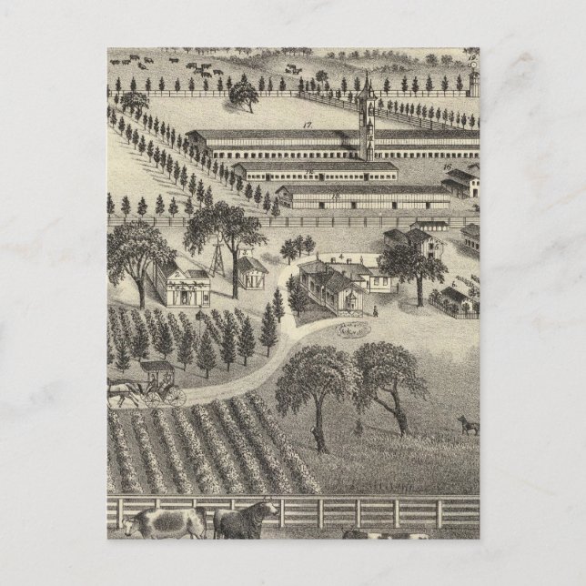 Ayrshire Farm Postkarte (Vorderseite)