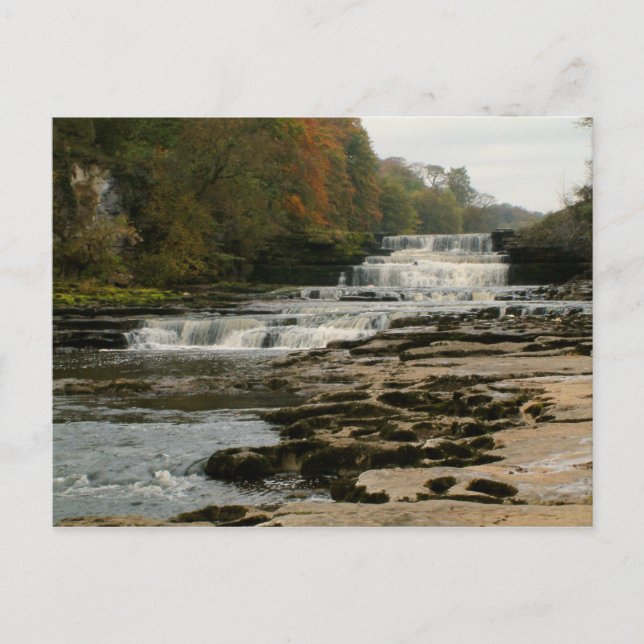 Aysgarth Lower Falls - Yorkshire Dales Wird Postkarte (Vorderseite)