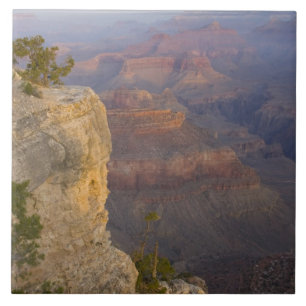 AZ, Arizona, Grand Canyon National Park, Süd 7 Fliese