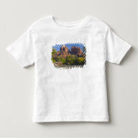 AZ, Arizona, Sedona, Crescent Moon Recreation 2