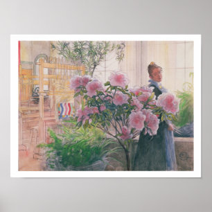 Azalea, 1906 (w/c auf Papier) Poster