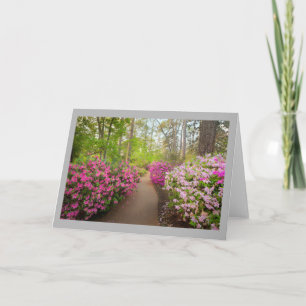 Azalea 4 Windgartenweg & rosa Azaleen Karte