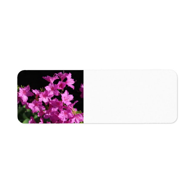 Azalea-Adressetikett (Vorne)