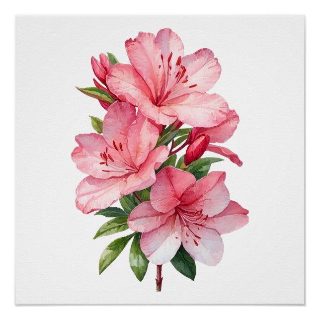 Azalea Blume Aquarellmalerei Poster (Vorderseite)