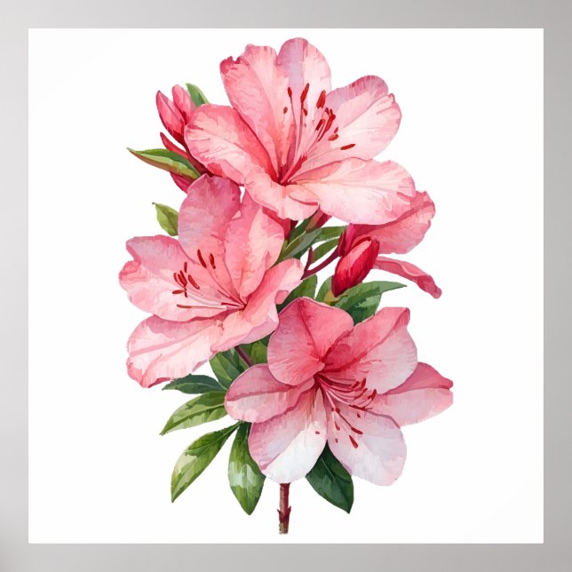 Azalea Blume Aquarellmalerei Poster (Vorne)