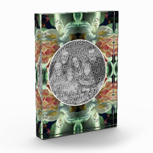 Azalea Blume Blüten kreieren Fotoblock