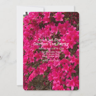Azalea  einladung