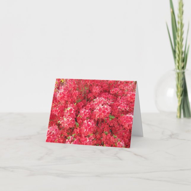 Azalea Grußkarte Karte (Vorderseite)