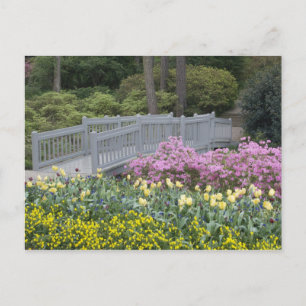 Azalea Heath Family (Ericaceae), Tulip und Postkarte