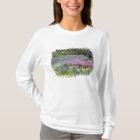 Azalea Heath Family (Ericaceae), Tulip und