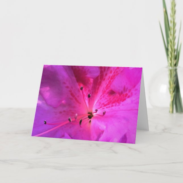 Azalea, Karte (Vorderseite)