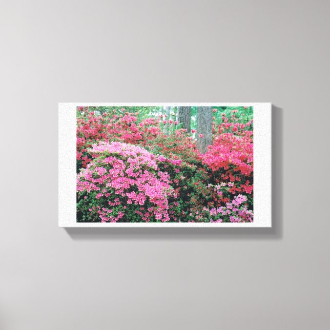 Azalea Leinwand (Vorderseite)
