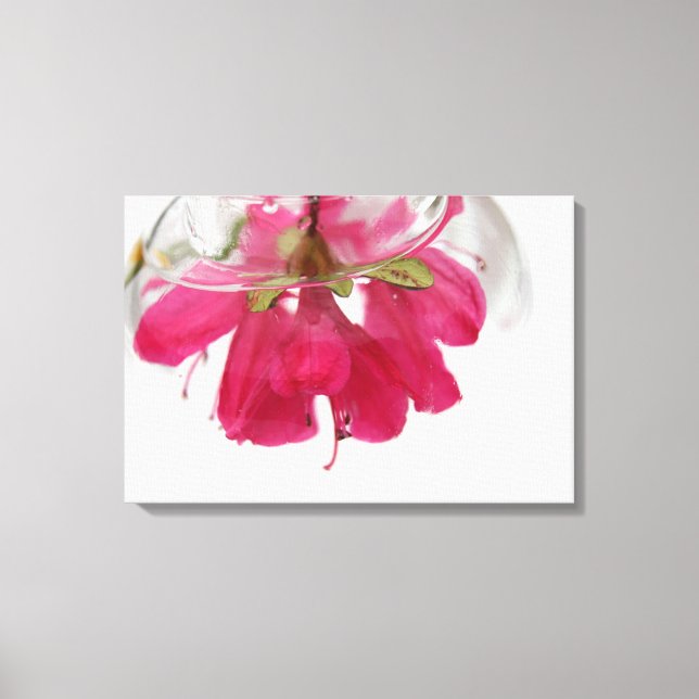 Azalea Leinwanddruck (Vorderseite)