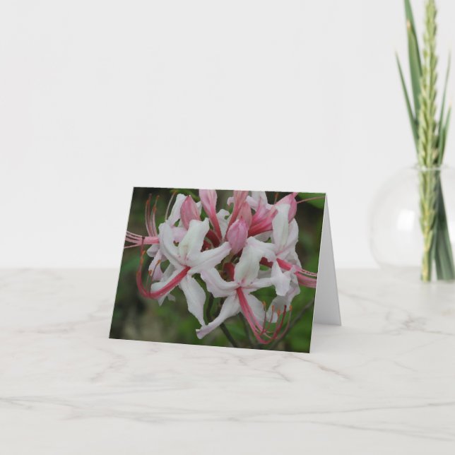 Azalea Note Card Karte (Vorderseite)