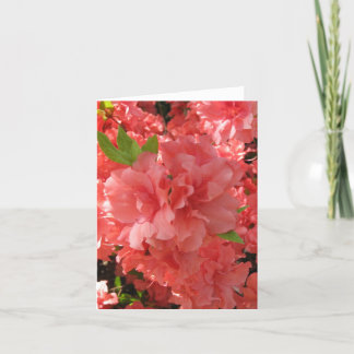Azalea Notecard Karte