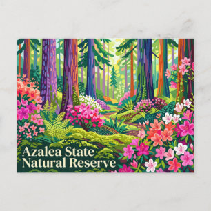 Azalea State Natural Reserve Kalifornien Postkarte