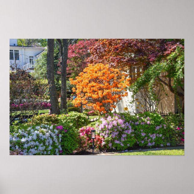 Azalea Trail Garden in Tyler, Texas Poster (Vorne)