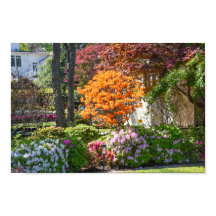 Azalea Trail Garden in Tyler, Texas